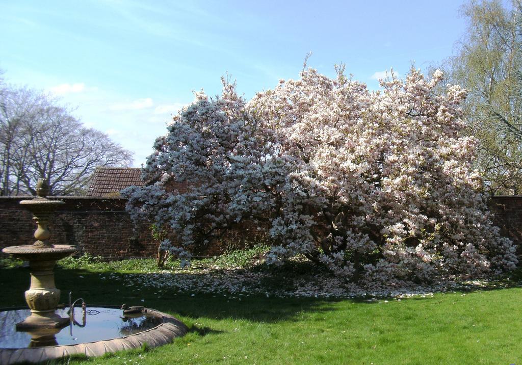 Hilbury Court Hotel Trowbridge Kültér fotó